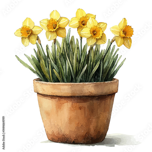 illustration of Decorative Ceramic Pot With Daffodils, watercolor vector, isolated on a white background.