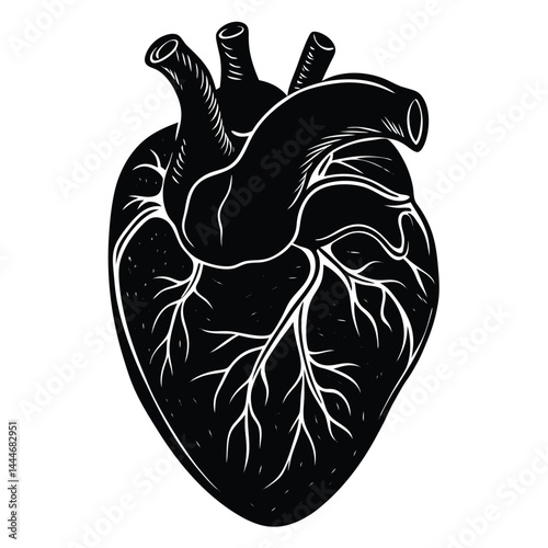 Black and White Anatomical Heart Art, Intricate Vessels, Monochrome Organ