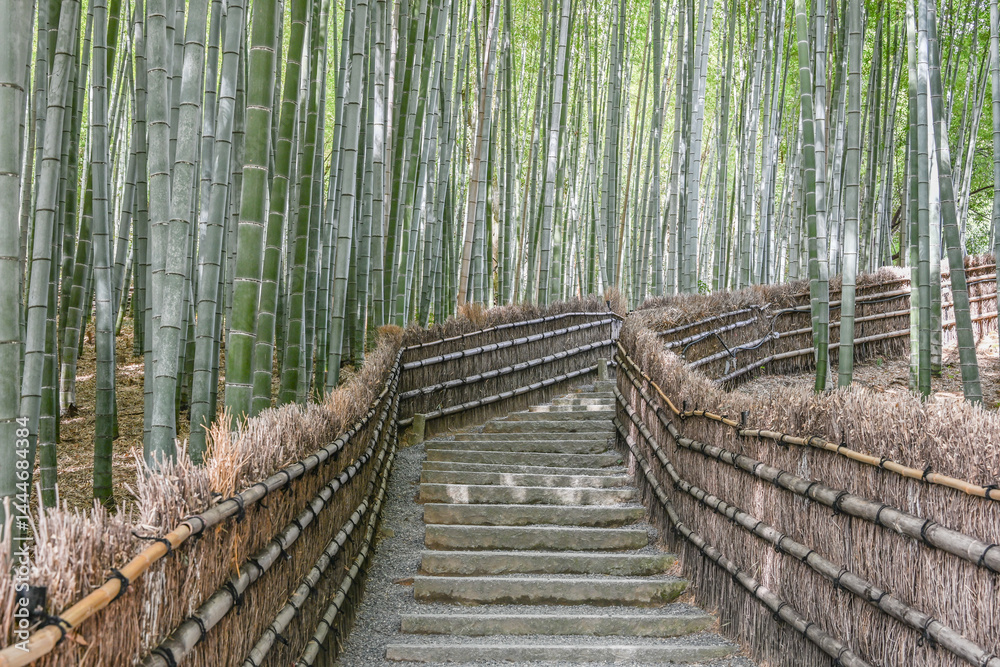Fototapeta premium Landscape View Of Beautiful Bamboo Forest And Trails In Spring, Adashino Nembutsuji Temple, Sagano, Arashiyama, Kyoto, Japan