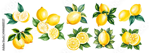 Set of lemons citrus fruits, whole and cut, with green leaves. Watercolor style vector illustration isolated on white background