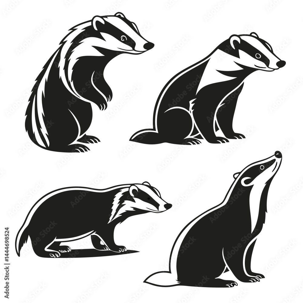 Fototapeta premium Four Black and White Badge, Badger Isolated Illustrations in Different Poses on White