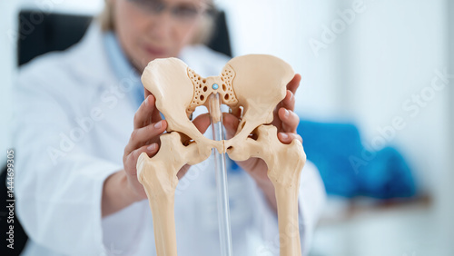 Pelvis and Hip joint model with Doctor in Clinic: orthopedics, healthcare, joint pain treatment, rehabilitation, osteoarthritis, hip fractures, bursitis, tendinitis, labral tear, sciatica, hernia
