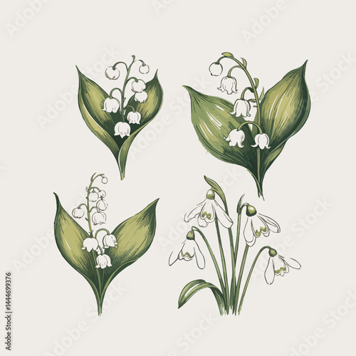 Botanical garden element collection and Hand drawn flat design snowdrop