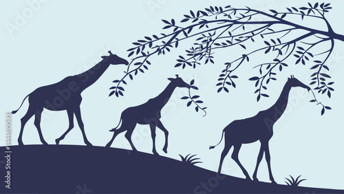 Dark Silhouette Illustration of Giraffes Reaching for Leaves Evolution Adaptation Wildlife Scene