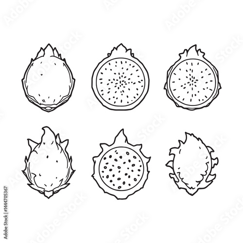 Dragonfruit line art drawing with intricate details