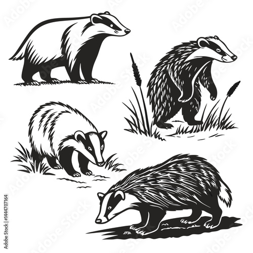 Badger Silhouettes in Black and White, Set of Forest Animals, Mammals