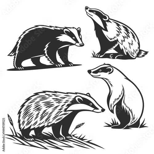 Badger Set Silhouette Illustrations Standing, Walking, Looking Up, and Sitting Flat Art