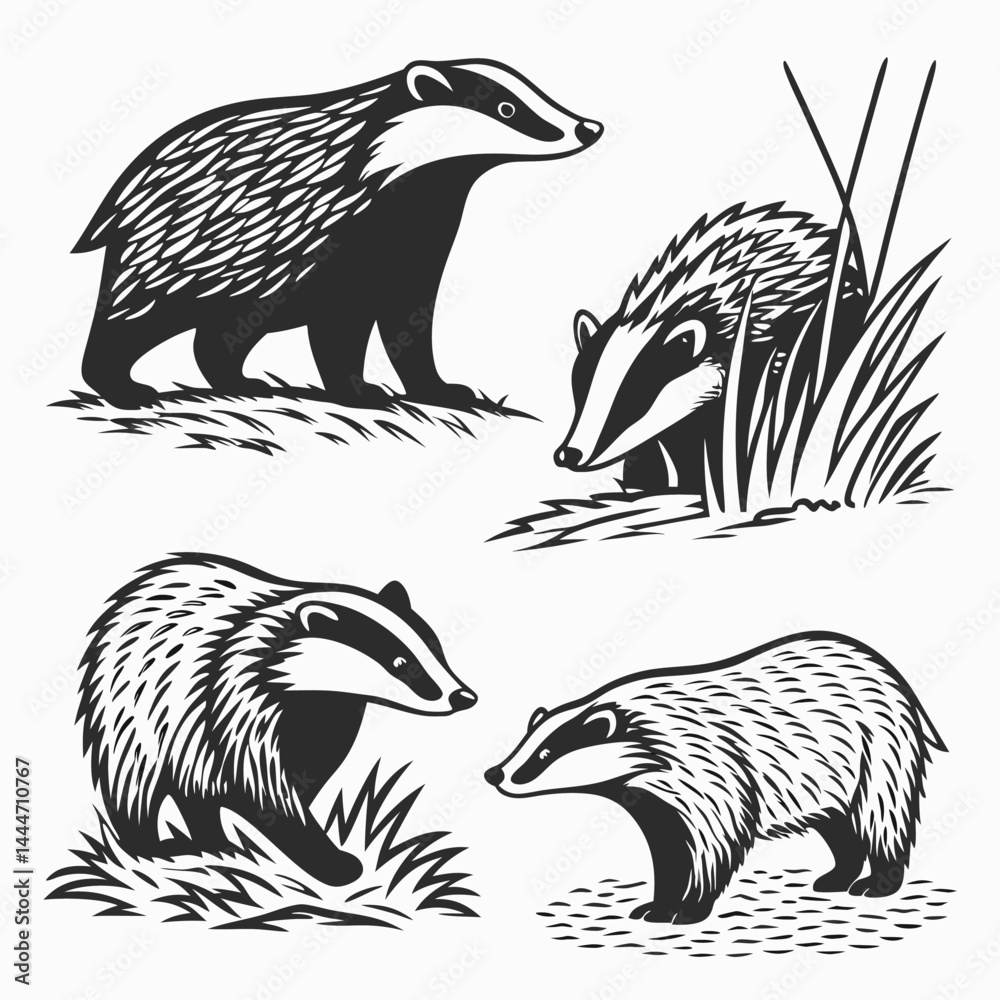 Fototapeta premium Four Black and White Badger Silhouettes in Natural Settings, Forest Animals, Isolated