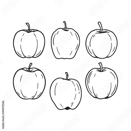 elegant custard apple line art design for modern graphics
