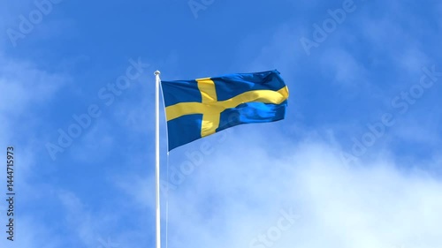 Swedish Flag