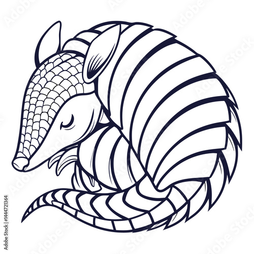 Minimalist Armadillo Curled Up Sleeping, Isolated Illustration, Wildlife, Animal Contour