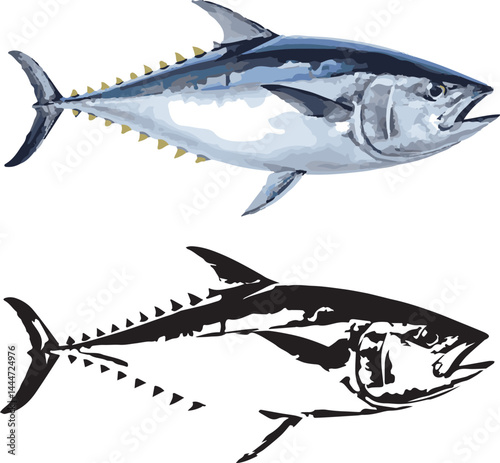 Tuna Fish Color Vector and Tuna Fish Black drawing