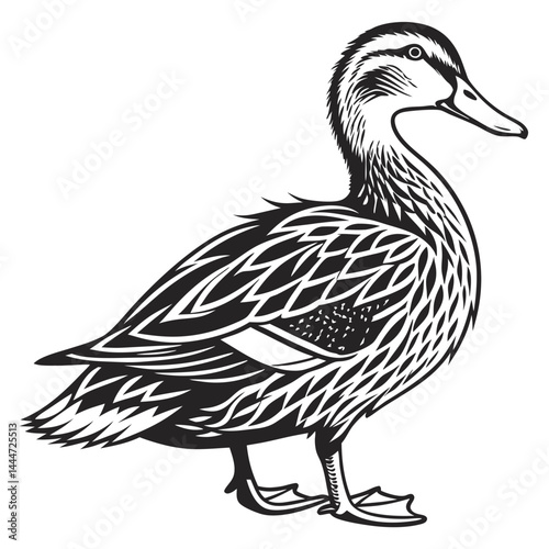 Detailed Black & White Standing Duck, Ornate Feathers, Wildlife Illustration, Closeup