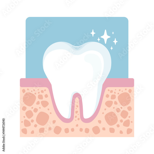 Healthy, sparkling white tooth in gums. Dental care and hygiene concept. Bright and clean. Vector illustration isolated on white background.