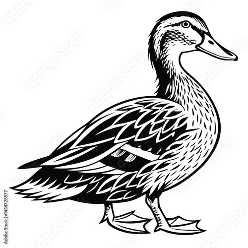 Duck Standing Isolated, Bird Illustration, Wildlife Animal, Black and White Stencil Style