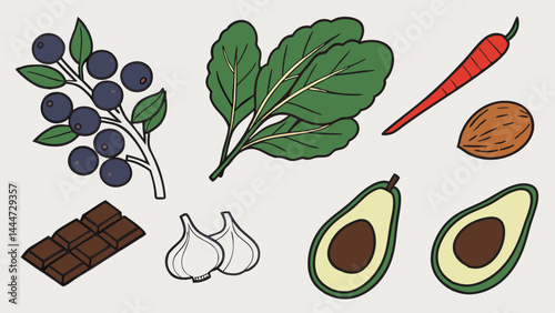 Simple Illustration Featuring Healthy Food Ingredients Blueberries Greens Carrot Almond Dark Chocolate Garlic Avocado