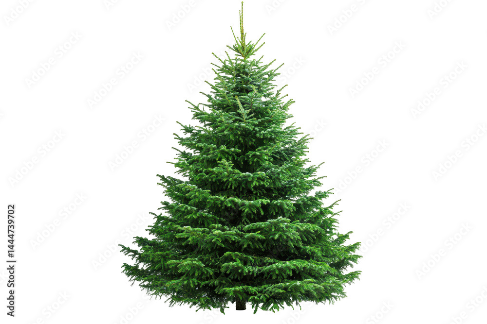 Decorated Christmas tree illustration in PNG format ideal for winter celebration graphics and seasonal marketing materials Decorated Christmas tree illustration in PNG format ideal for winter celebration graphics and seasonal marketing materials