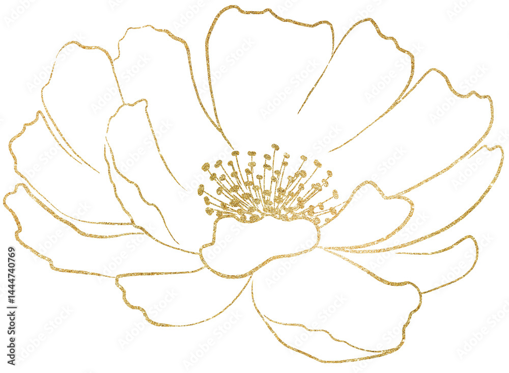 Hand drawn peony flower golden outlines silhouette, wedding isolated illustration element
