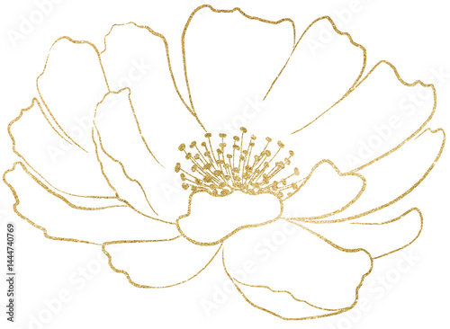 Obraz na płótnie Hand drawn peony flower golden outlines silhouette, wedding isolated illustration element w salonie