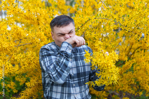 portrait of a man on the background of yellow forsythia flowers, spring nature and blossoms