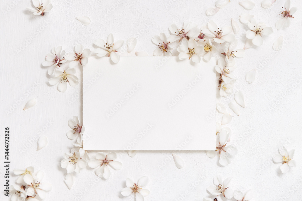 Blank horizontal paper card near white cherry flowers top view, spring wedding mockup