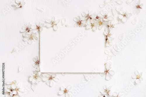 Obraz na płótnie Blank horizontal paper card near white cherry flowers top view, spring wedding mockup w salonie