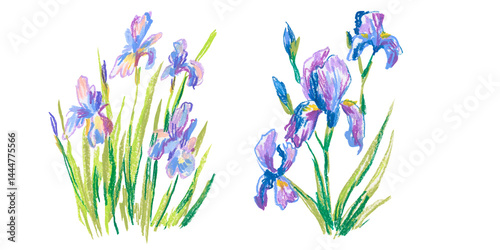 Spring clip art iris flowers drawn with wax crayons on white isolated background. Children's botanical collection of oil pastel illustrations. Designs for greeting cards, stickers, posters.