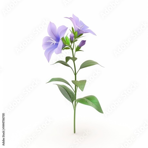 Obraz na płótnie Light purple flowers on a slender stem. w salonie