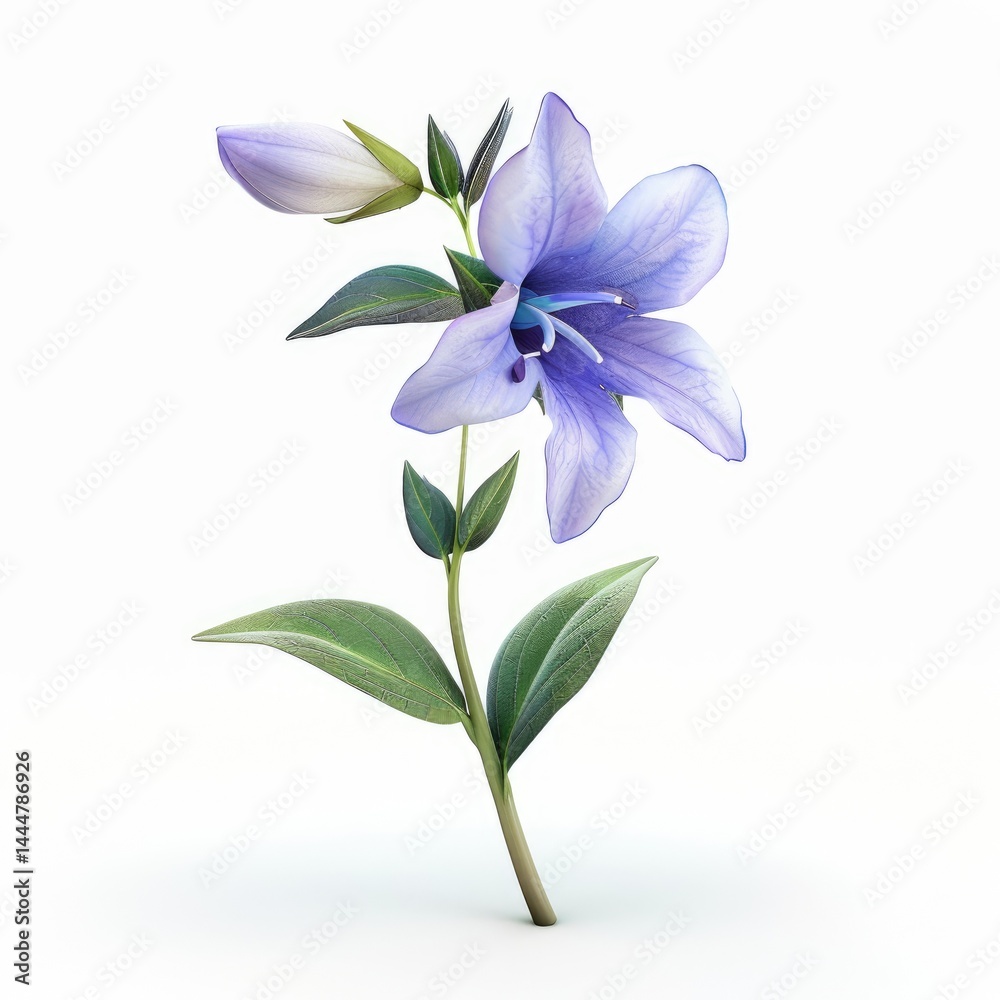 A delicate, light purple flower with buds and leaves.