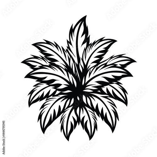 Bold Silhouette of Tropical Palm Fronds Isolated, Black and White Exotic Foliage