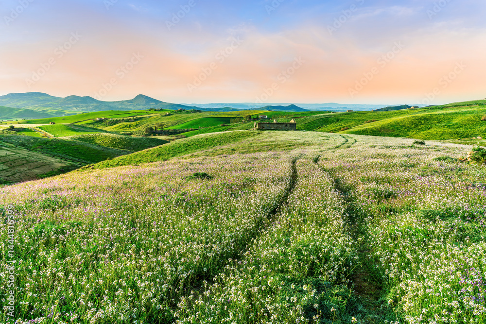 rustic road in spring meadow landscape with green grass, flowers, amazing hills and beautiful path leading to a village. Agricultural landscapw of europe. rustic road in spring meadow landscape with green grass, flowers, amazing hills and beautiful path leading to a village. Agricultural landscapw of europe.