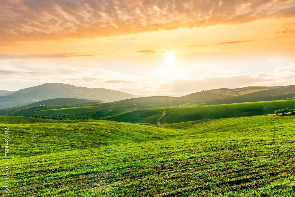 green spring or fummer farm field. rural landscape of countryside wirh agriculture view in farmland with beautiful cloudy sky on background green spring or fummer farm field. rural landscape of countryside wirh agriculture view in farmland with beautiful cloudy sky on background