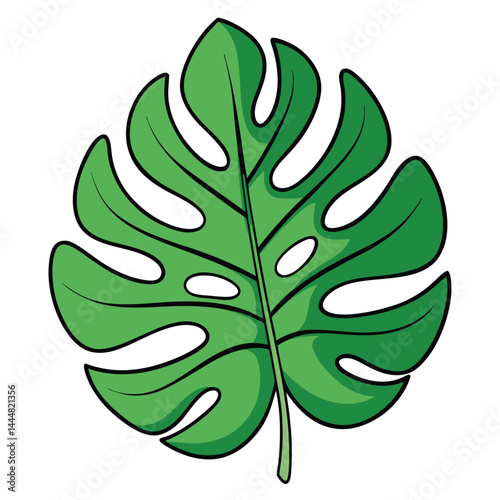 Cartoon Monstera Leaf, Tropical Foliage, Green Leaf, Plant Illustration, White Background