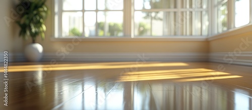Sunny Room with Wooden Floor
