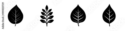 Silhouette pictogram set of various leaves depicting nature and botanical themes for design and illustration projects