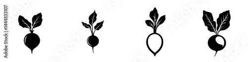 Silhouette pictograms of different radishes displayed in a vector icons set for various design applications