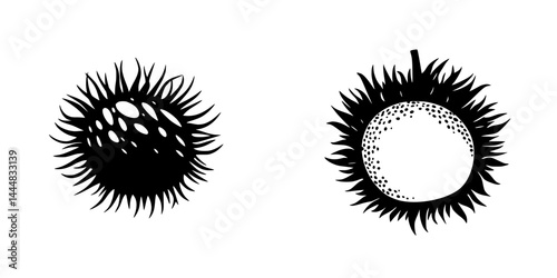 Silhouette pictograms of spiky and smooth fruit designs isolated on a white background for graphic use in creative projects