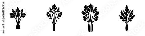 Silhouette pictogram set featuring various celery designs in isolated vector format for graphic use