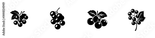 Collection of grape silhouette pictograms showcasing various vine designs in simple vector style