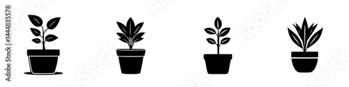 Silhouette pictogram of various potted plants showcasing different leaf shapes and sizes in minimalistic style