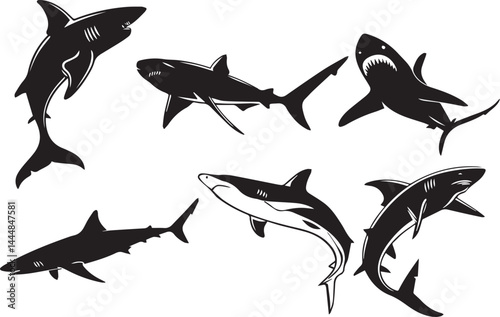 Collection of shark silhouettes in different poses