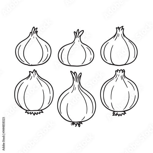whole onion vector drawing illustration in line art style