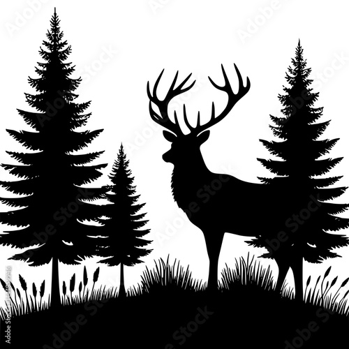 deer in the forest