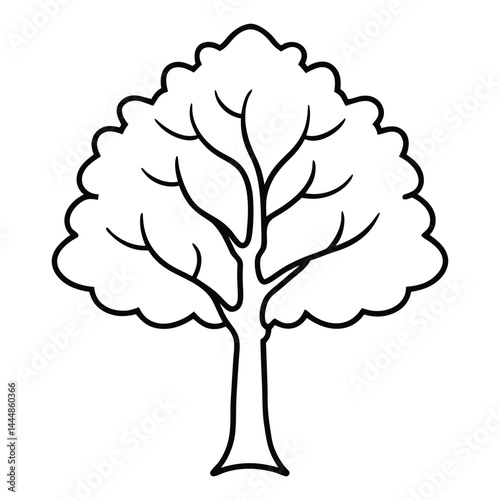 American sycamore tree line art vector on white background 