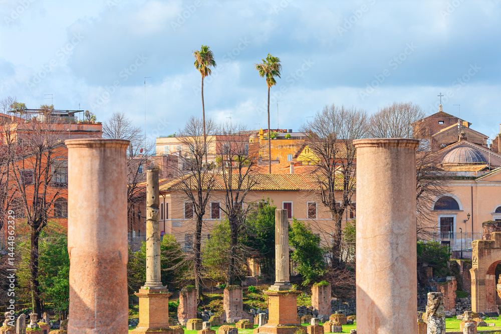 Ancient stone columns stand in grassy area of Roman Forum, surrounded by ruins and historic buildings. Glimpse into the past, where history whispers through weathered stone of Roman Empire