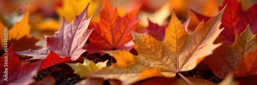 Close-up of fallen autumn leaves, intricate detail, high-resolution, red