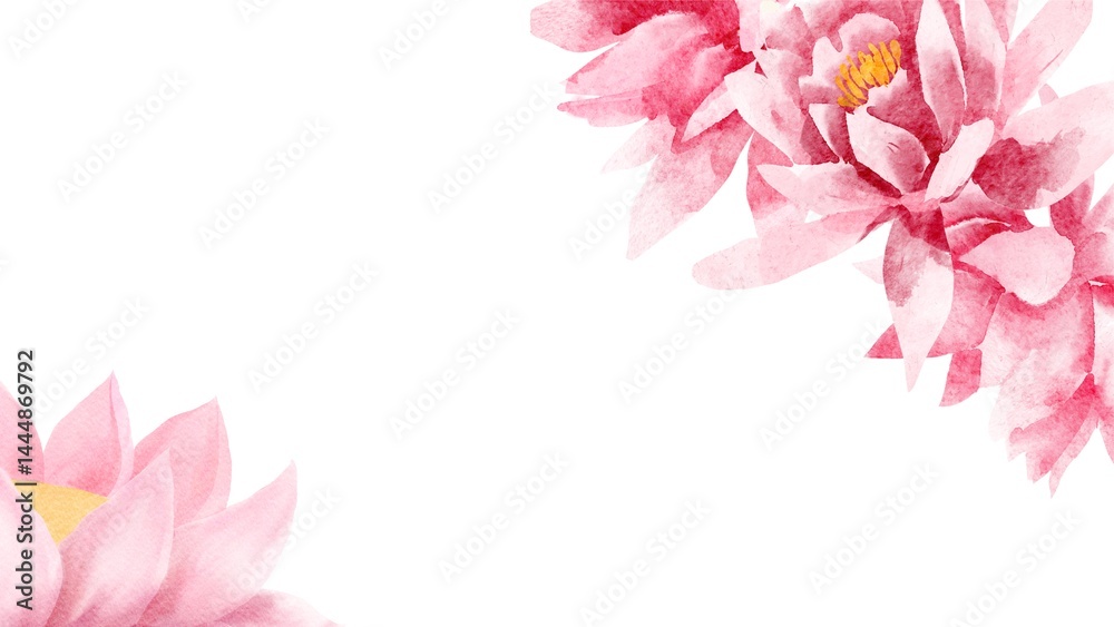 Fototapeta premium Beautiful lotus flower in full bloom with natural lighting. Symbol of purity, peace, and spirituality. Ideal for wellness, meditation, and botanical themes.