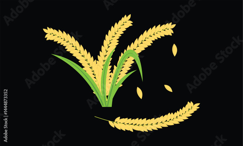 Golden Rice Plant with Grain Vector on Black Background