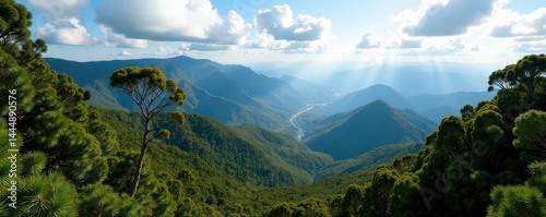 Wide shot showcasing a Tamborine Mountain pan, highlighting the natural beauty of Queensland , earth, pan, hill