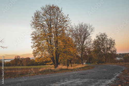 Winding country road through autumn landscape with trees in golden foliage, under a pastel sunset sky in rural countryside